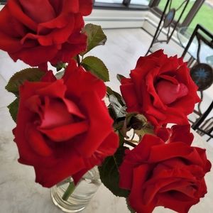 Meet your Posher, Sharon